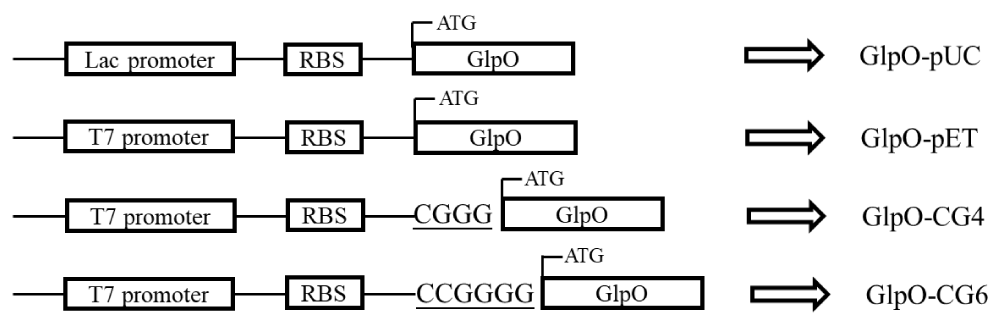 abse-aid1016-g002